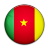 Flag Of Cameroon Icon